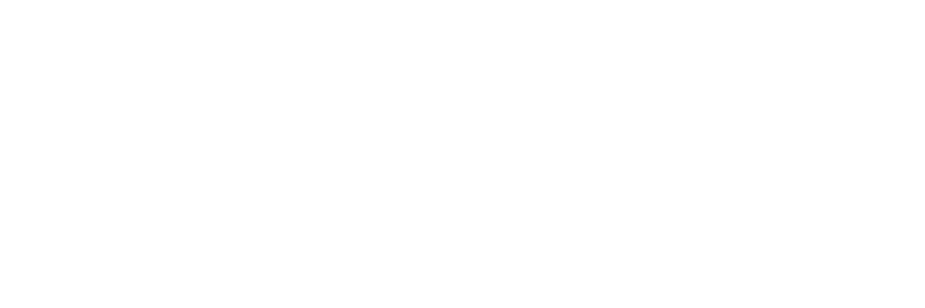 SchSt Logo weiß