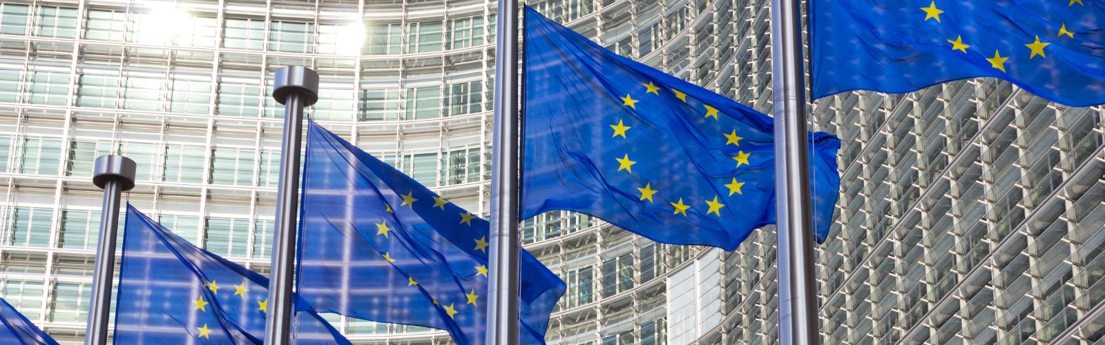 Recruiting-Tipp: EU Blue Card für Fachkräfte beantragen